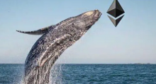 数据：三月以来以太坊巨鲸地址增持近70万枚ETH