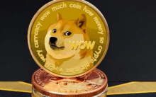 美国参议院候选人提议让狗狗币成为法定货币