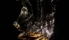 Luna加密货币暴跌后恢复但投资者信心骤减