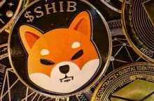 ShibaInu创始人Ryoshi已删除所有推文和博客文章