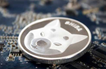 SHIBInu代币价格飙升推动DOGE重返