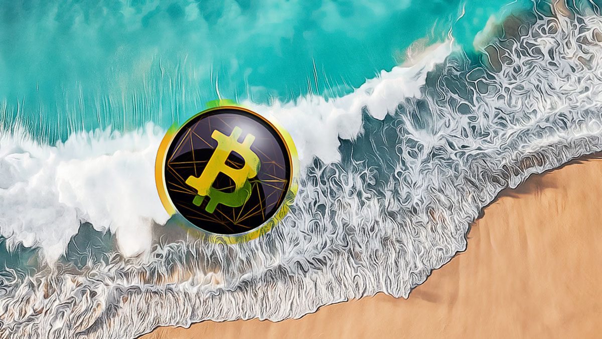 加密货币价格会在2024年飙升吗？-最新加密货币新闻