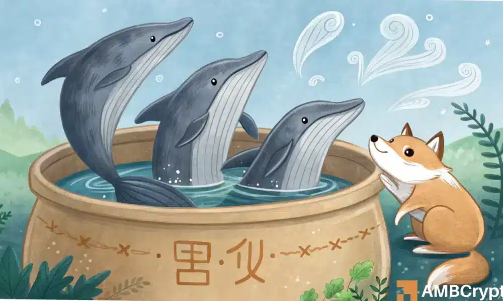 ShibaInu鲸鱼再次活跃-对SHIB有影响吗？ 