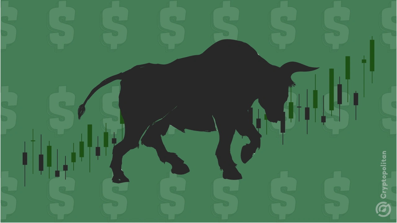 股票交易将超越“壮丽7”