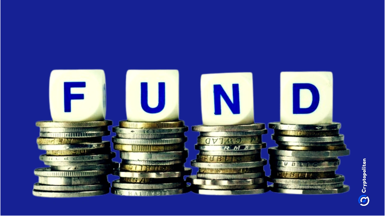 加密货币项目将在2025年获得最多的风险投资