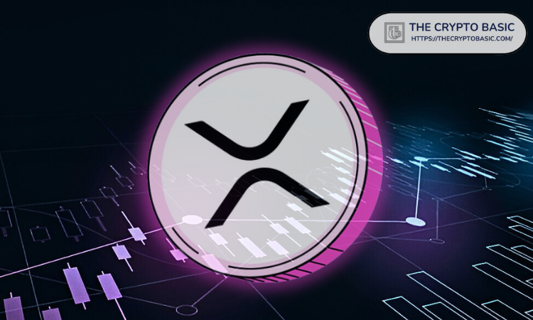 专家对12月31日XRP泵的预期发出警告