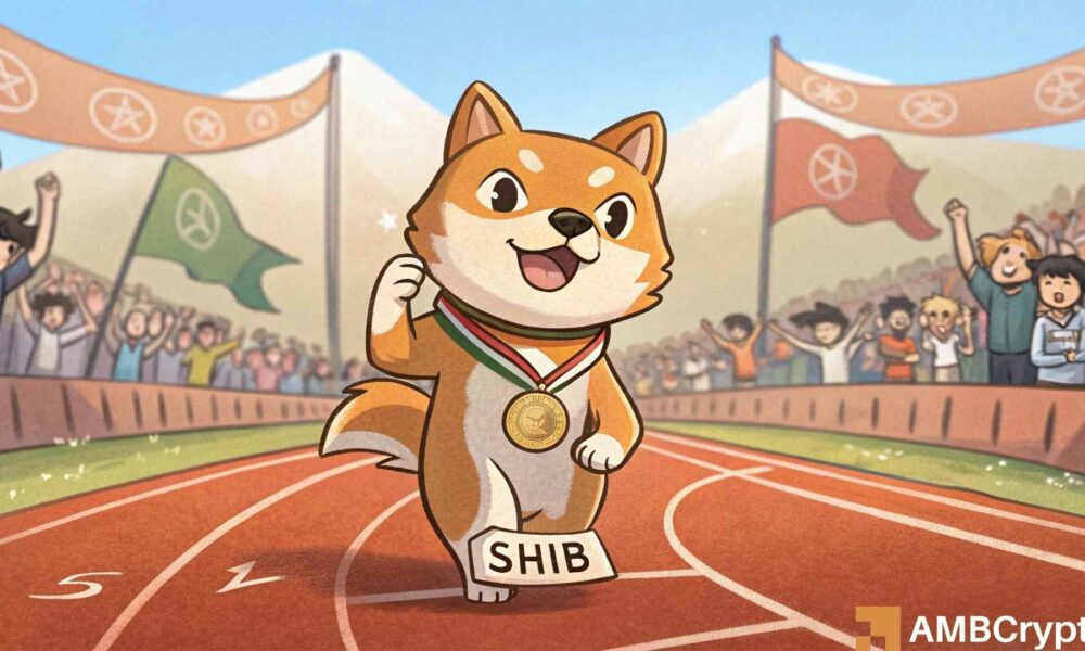 一周内燃烧的61千万智田INU-这会有助于shib达到$0.000020吗？