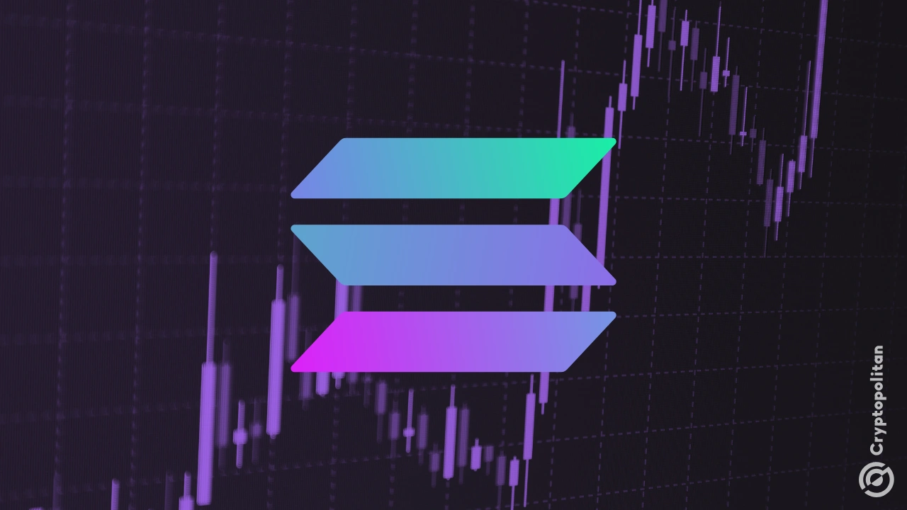 鲸鱼更新Solana(Sol)积累,价格弹起低点