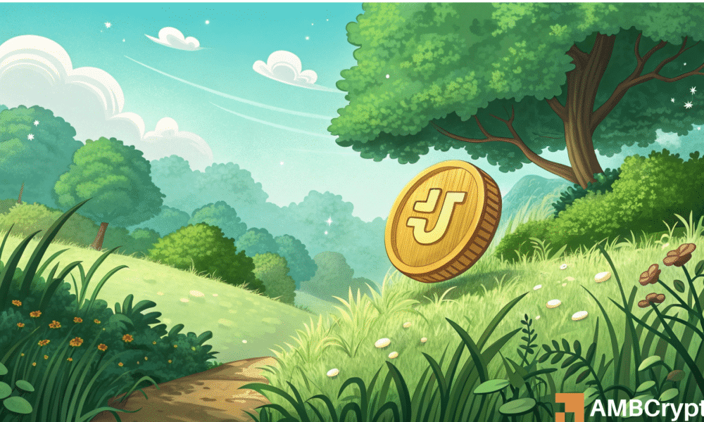 木星测试$1500抵抗：评估木普的道路