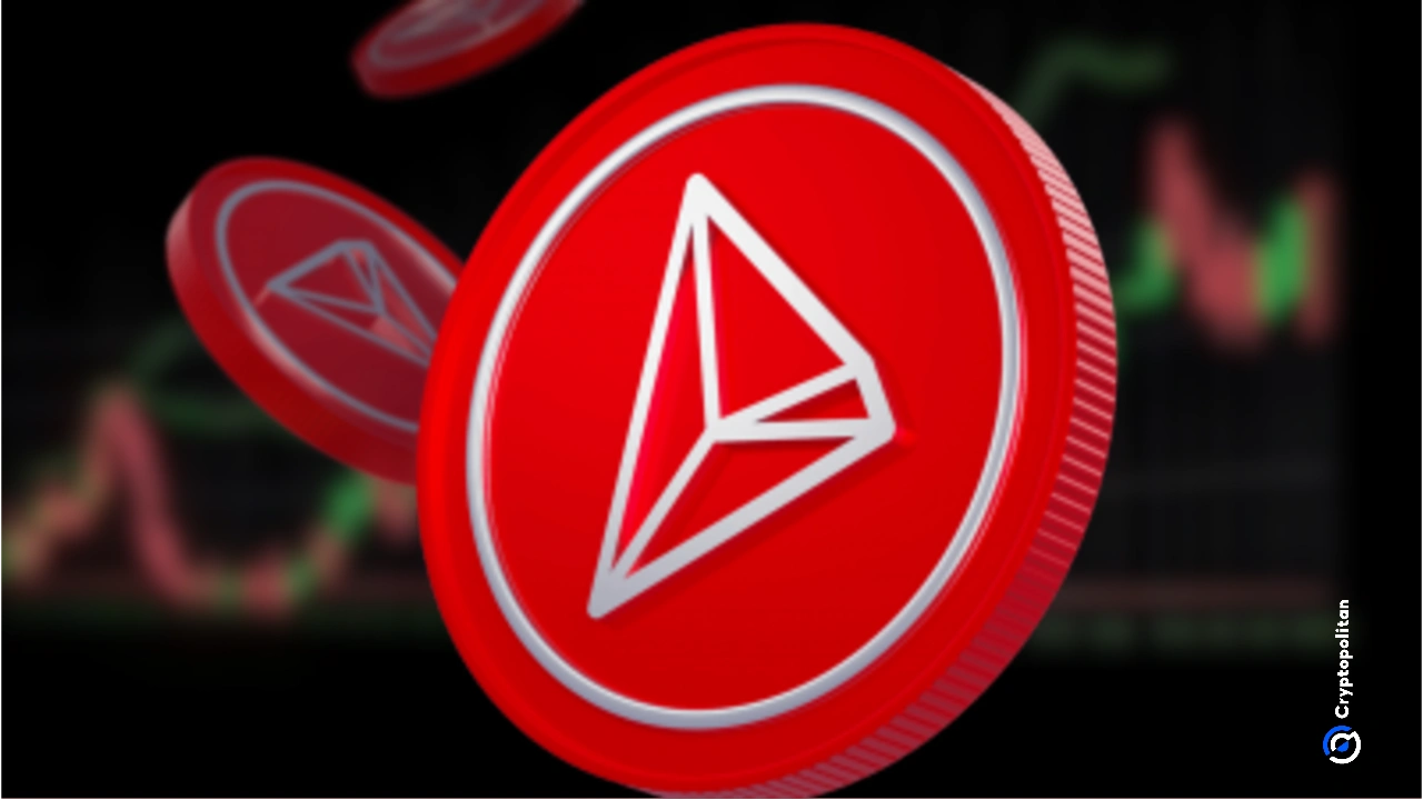 特隆（Tron）认为自特朗普上任以来，赔率是绿色唯一的十大加密货币