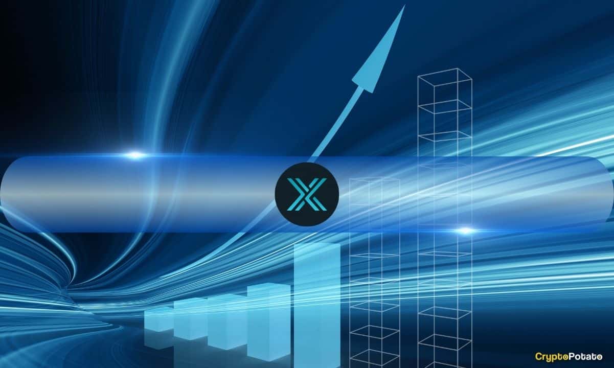 不可变的X和ZKEVMNFT销售额在第4季度2024年55％，但市场参与下降