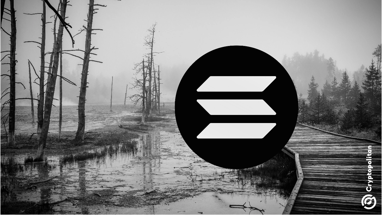 SolanaMemeCoinUniverse是为了燃烧尚无准备的