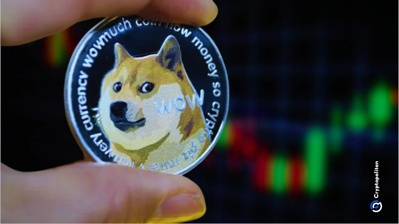 DogecoinFoundationCorporateArm表格10MDogeReserve以支持流动性