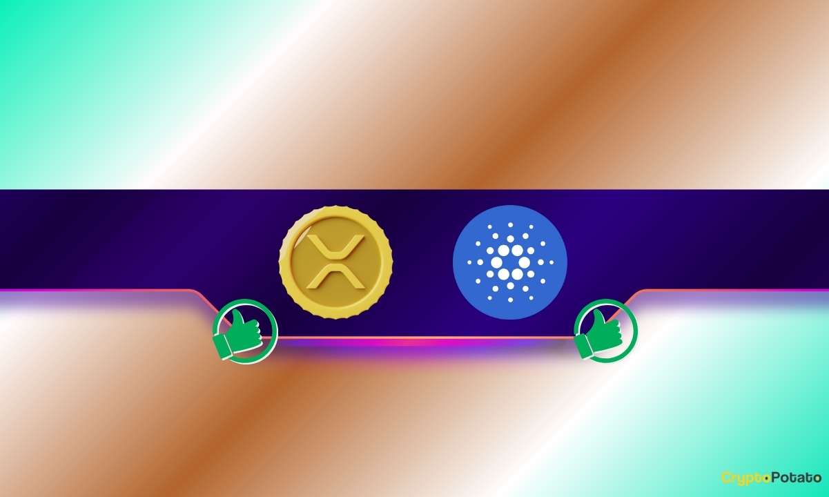 BinanceTradersBetBigtoXRP和ADA：您应该担心吗？