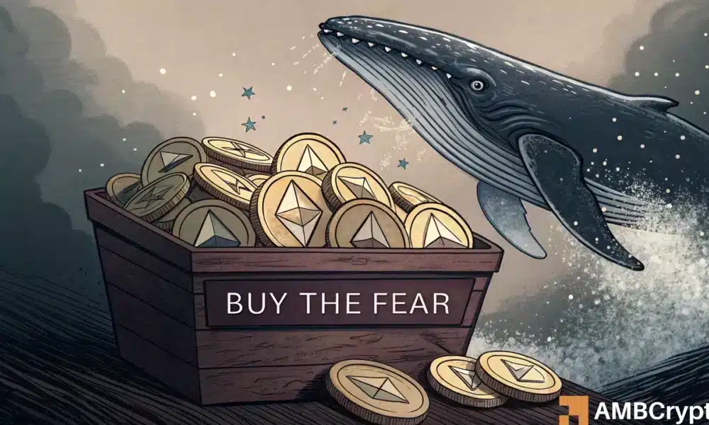 以太坊大赌博-鲸鱼下注，但会得到回报吗？