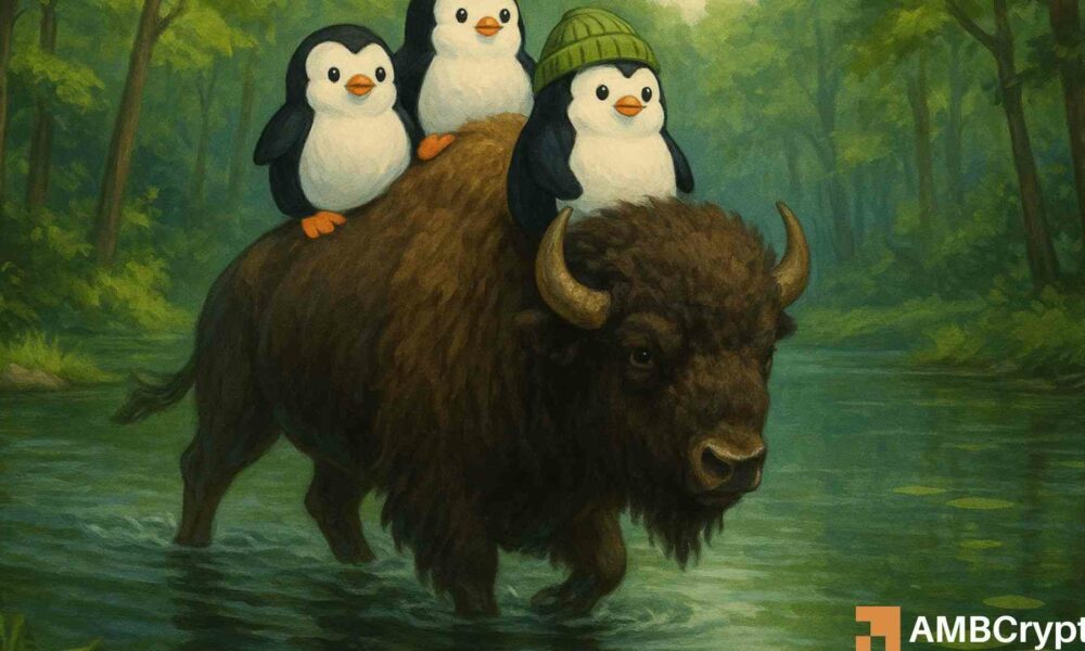 Pengu230％4月集会意味着这可能是矮胖的企鹅！