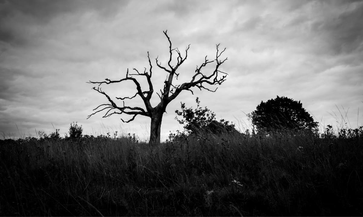 加密货币插入墓地，因为180万代币死于2025年第1季度