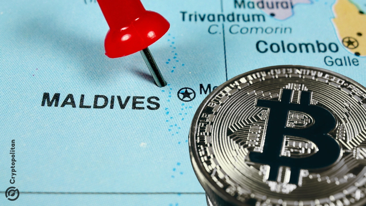 迪拜公司向马尔代夫投资88亿美元的加密货币