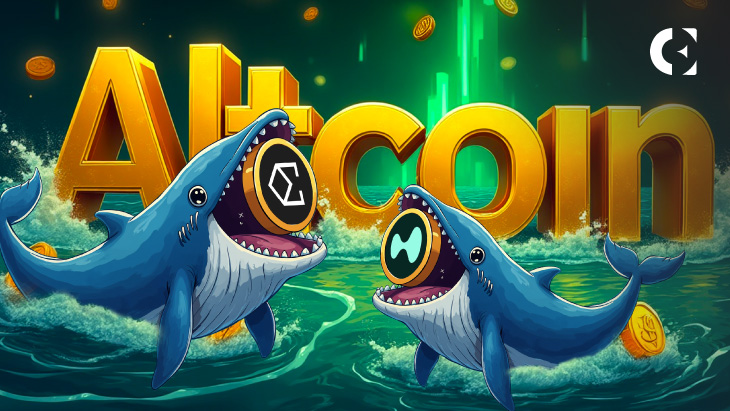 山寨币上涨讨论因“黄金交叉”而升温；鲸鱼买入ENA，炒作