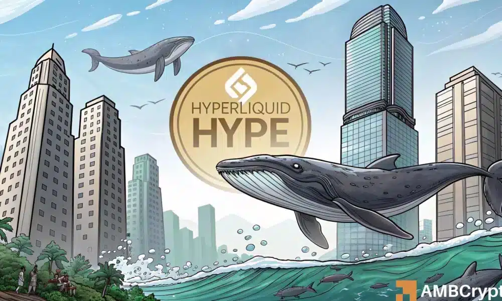 Hyperliquid的需求在两大群体中飙升——HYPE的下一步是什么？