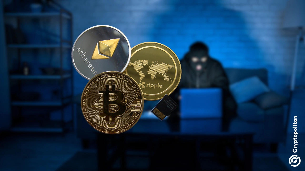 男子陷入爱情加密货币骗局，损失20万美元