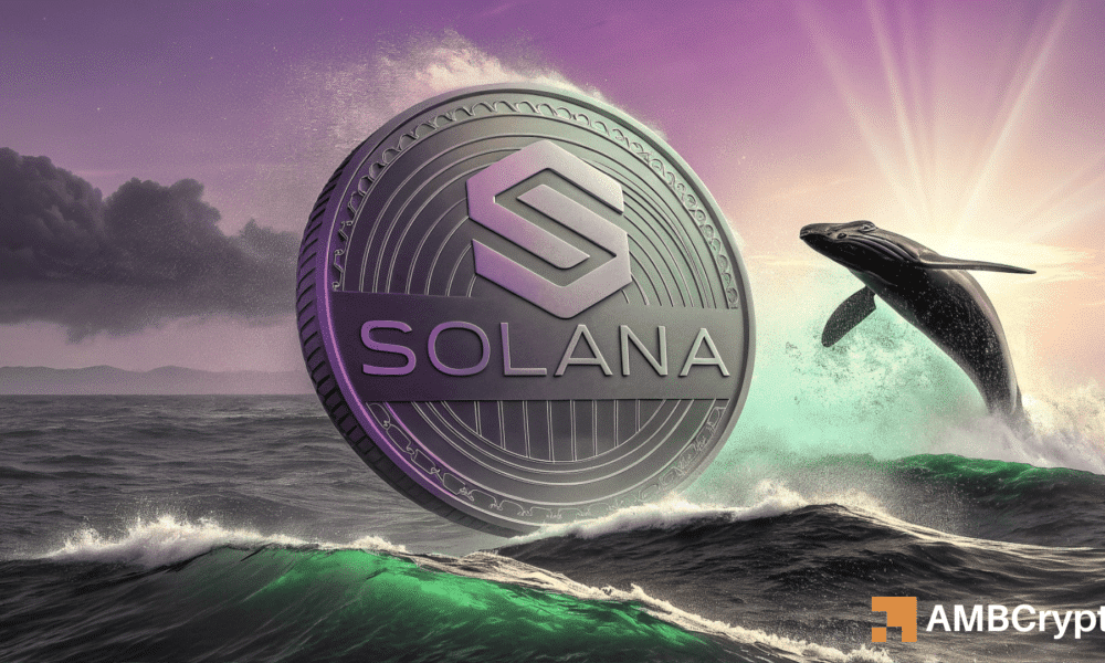 Solana——这些水平将如何决定SOL的下一步价格走势
