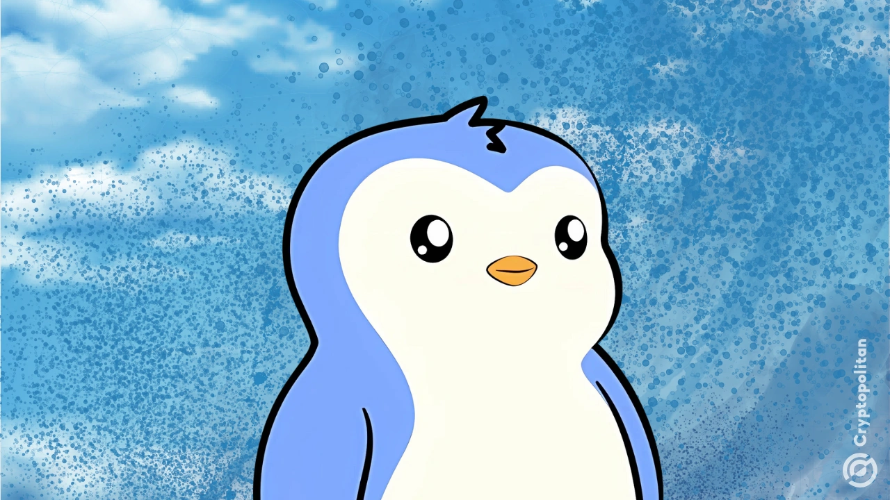 Coinbase推出PudgyPenguinsPFP狂热，PENGU价格上涨30%以上