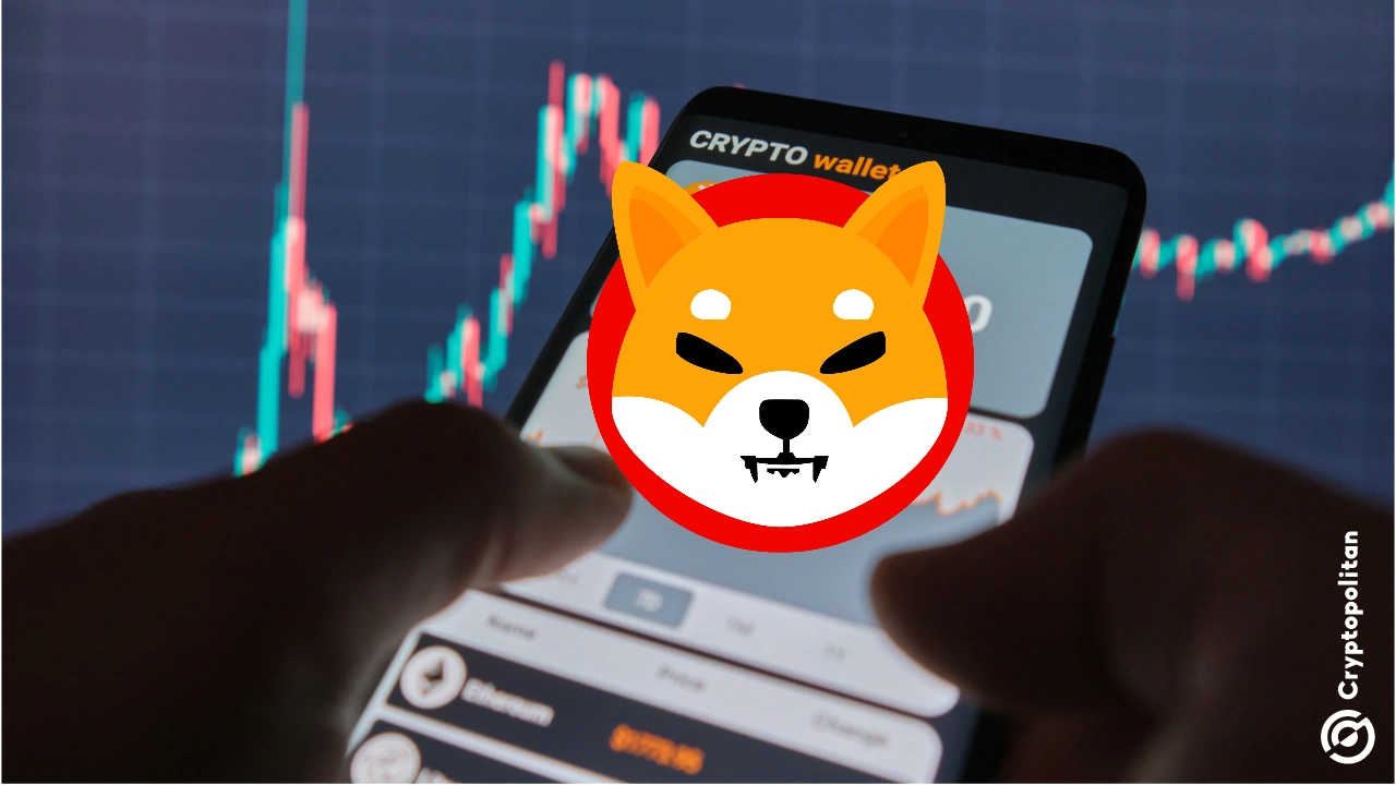 柴犬推出身份识别系统，保护用户数据免受量子计算威胁