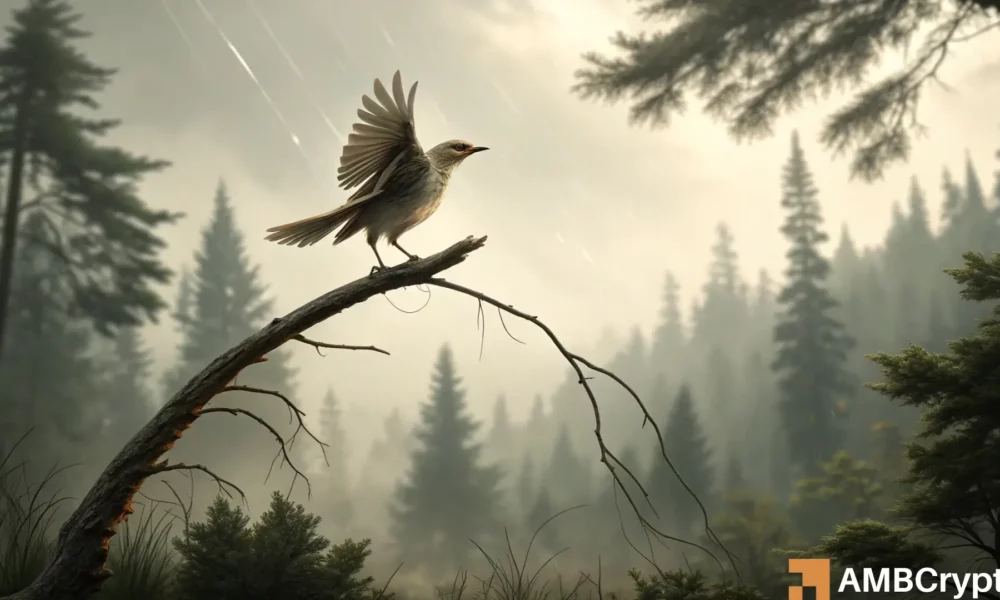 ENS达到28美元——但这些指标表明未来需谨慎！