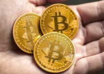 现在是谁在推动比特币的价格变化，时而上涨，时而下跌？