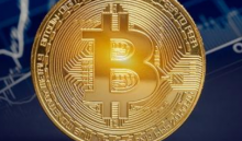  消息人士：哈佛等大学的捐赠基金已购买比特币至少一年