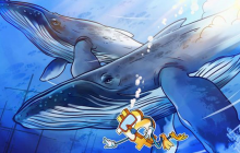 比特币鲸鱼向彭博社解释：为什么加密货币波动性将下降