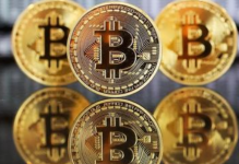  ShapeShift创始人：最终人类会转向比特币 法定货币会消失