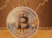 观点：若机构们将6.5％的投资分配给比特币，它将达到50万美元