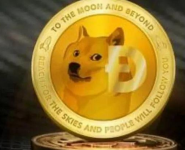 数据：美国“Dogecoin”搜索量超过“Bitcoin”