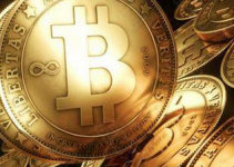 机构投资者预测比特币未来走势：处于牛市五浪中第三浪尾声