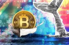 元凶在这里？比特币巨鲸2月获利退出，共“减持”14万枚BTC