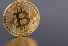 “牛市女皇”木头姐：耶伦不懂数字货币，比特币远比黄金更节能