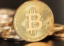 越涨越买！比特币成了“吉芬商品”？