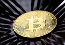  312一周年：面对极端行情的你 坚持信仰了吗？