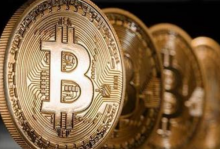  数据：持有至少1000枚比特币的大型持有者数量降幅加剧