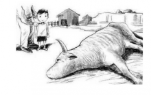 暴跌5000刀！爆仓过百亿！你选择“割肉”、“躺倒”还是“继续冲”？