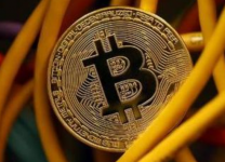  比特币的“罪与罚”：所涉刑事案中盗窃罪过半