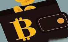 “女版巴菲特”Cathie Wood看好数字钱包和基因组学