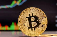 比特币挂了，数十万人血本无归……