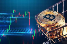 BTC市值占比已跌至44.6%再创新低