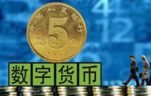  大连市打造数字人民币应用示范村