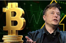 比特币：我可没有马斯克这样的“爹”