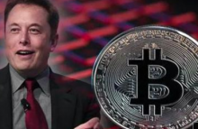 马斯克发个表情为何让比特币大反弹？一文读懂这些美国币圈黑话