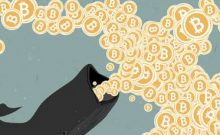数据：48.7%的BTC集中在持有100到10000个BTC的鲸鱼手中